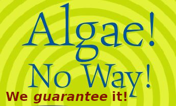 Algae! No Way!